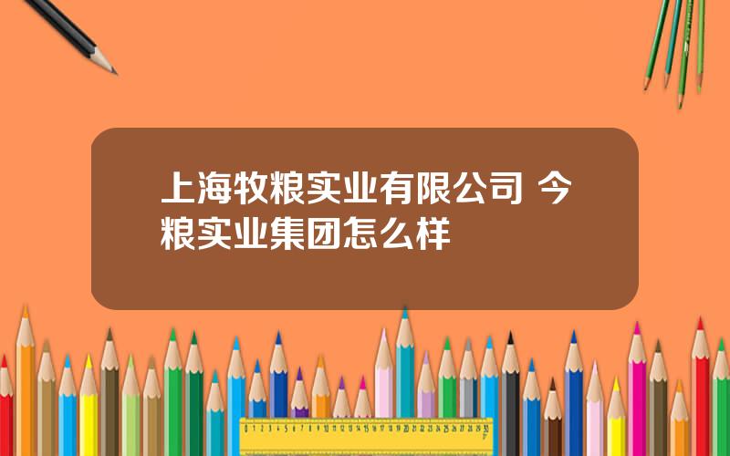 上海牧粮实业有限公司 今粮实业集团怎么样